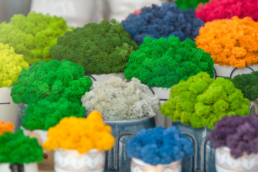 Color Inside Out – Inter Color